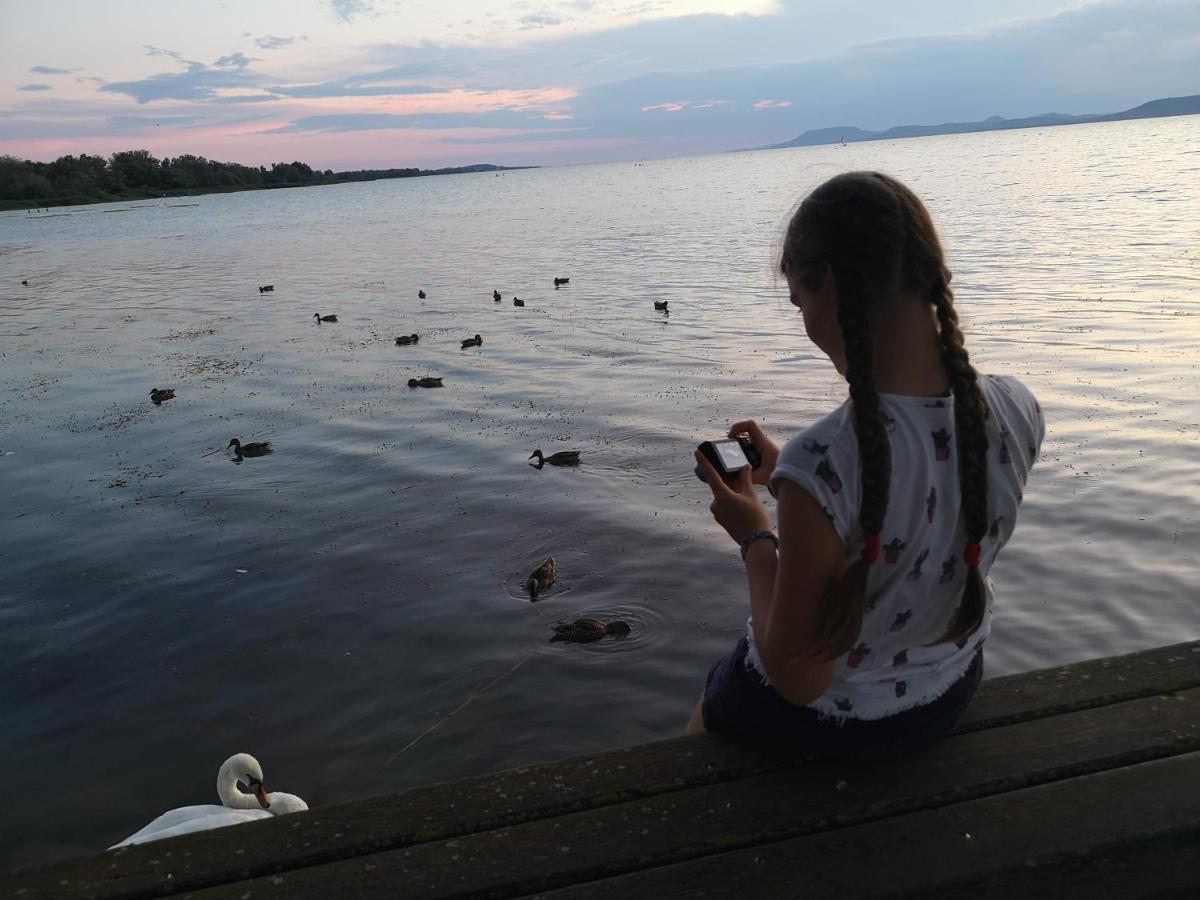 Balaton Art Guesthouse Balatonszárszó Esterno foto