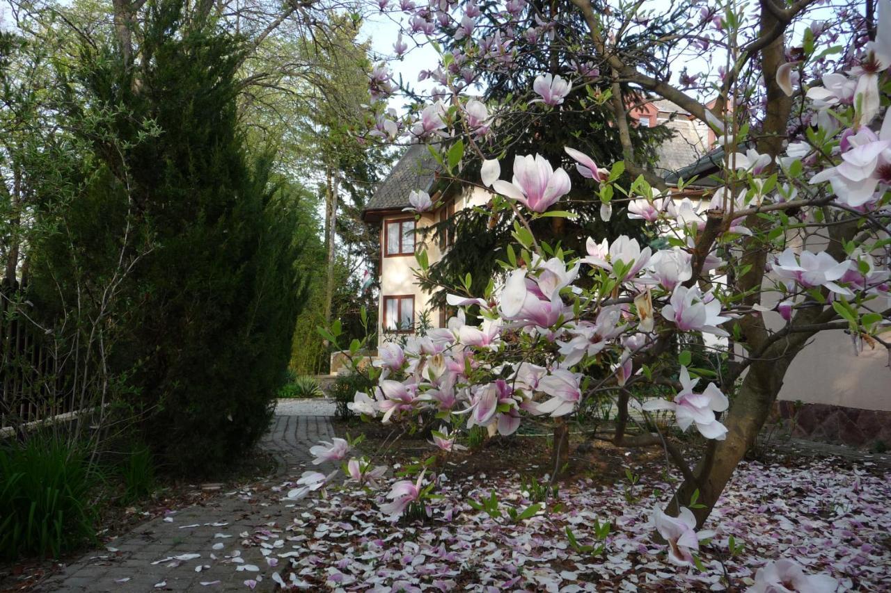 Balaton Art Guesthouse Balatonszárszó Esterno foto