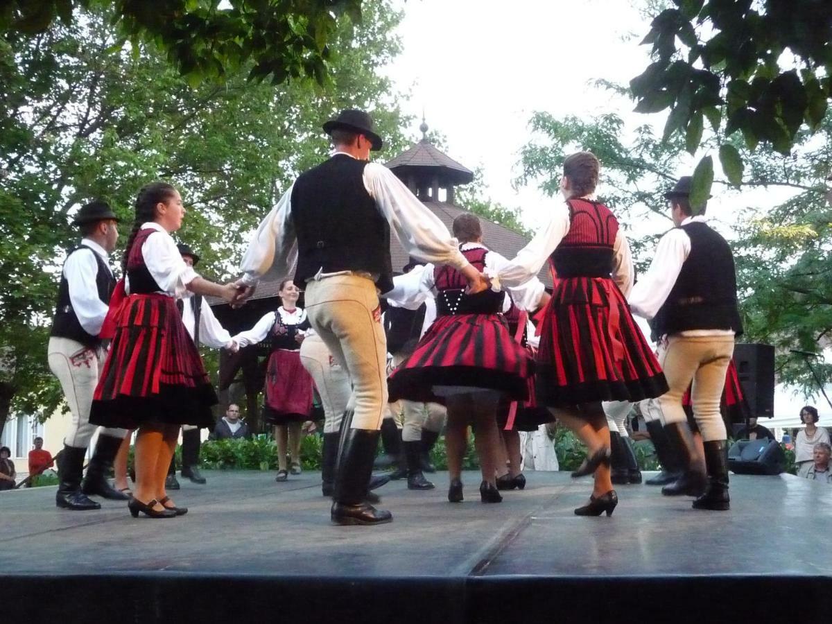 Balaton Art Guesthouse Balatonszárszó Esterno foto