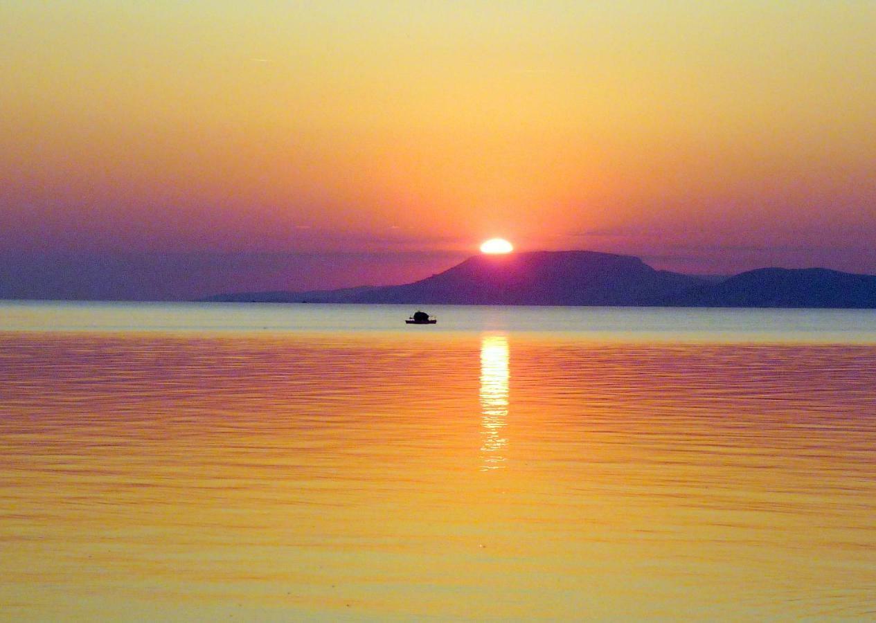 Balaton Art Guesthouse Balatonszárszó Esterno foto